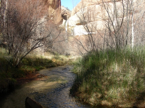 Escalante - Lower Calf Creek Escalante - Lower Calf Creek
