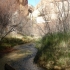 Lower Calf Creek Lower Calf Creek