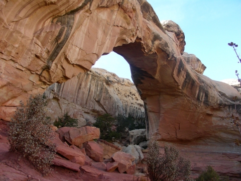 Capitol Reef - Hickman Bridge Capitol Reef - Hickman Bridge