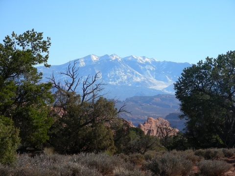 Arches Nationalpark - La Salle Mountains Arches Nationalpark - La Salle Mountains