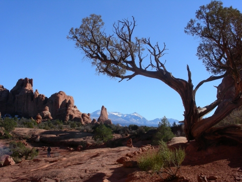 Arches Nationalpark - La Salle Mtns Arches Nationalpark - La Salle Mtns