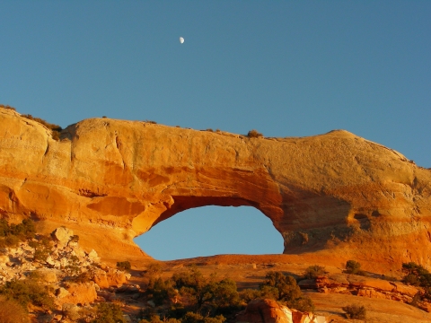 Canyonlands N.P. - Wilson Arch Canyonlands N.P. - Wilson Arch