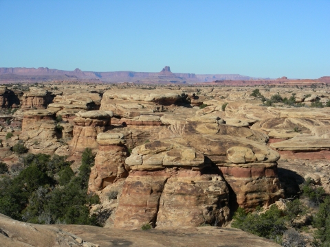 Canyonlands N.P. - Needles District Canyonlands N.P. - Needles District