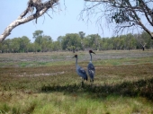 im Kakadu-Nationalpark