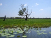 im Kakadu-Nationalpark