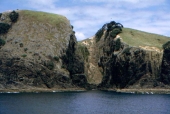 Bay of Islands