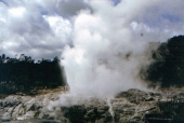 Geysirfontäne in Whaka