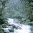 Auf dem Routeburn-Walk Auf dem Routeburn-Walk