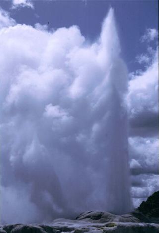Auckland - explodierender Geysir