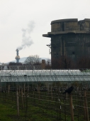Flakturm im Augarten