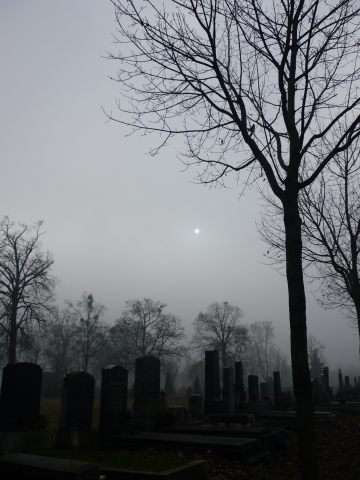 Wien - Zentralfriedhof Wien - Zentralfriedhof