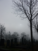 Zentralfriedhof