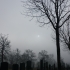 Zentralfriedhof Zentralfriedhof