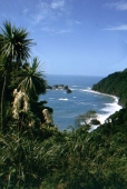 Pazifikküste bei Haast