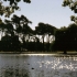 Park in Christchurch Park in Christchurch