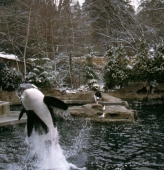 Zoo in Vancouver