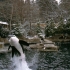Zoo in Vancouver Zoo in Vancouver