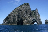 Bay of Islands