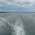 mit ferry richtung bohol mit ferry richtung bohol