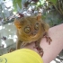 bohol ist die.. bohol ist die..