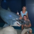 Sydney Aquarium Sydney Aquarium