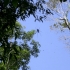 Cape Tribulation - Spinnen wohin das Auge reicht! Cape Tribulation - Spinnen wohin das Auge reicht!