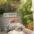 Sea World San Diego