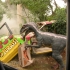 Jurassic Park Universal Studios