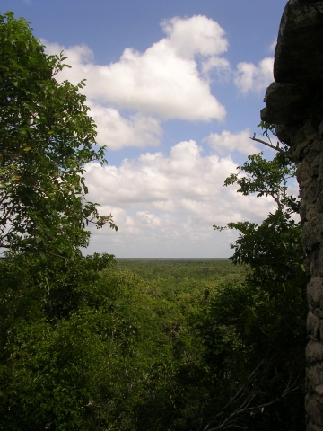 Cobá