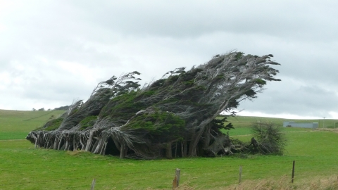 Invercargill