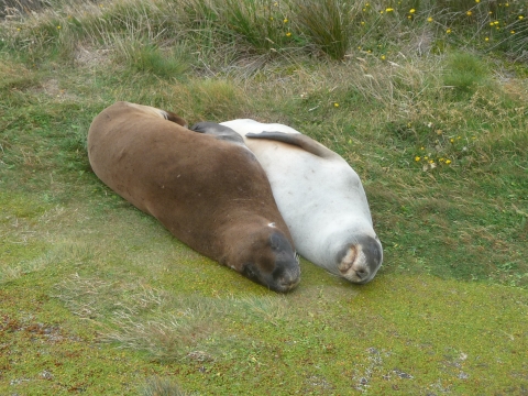 Invercargill