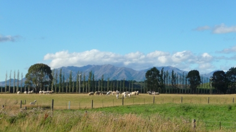 Neuseeland