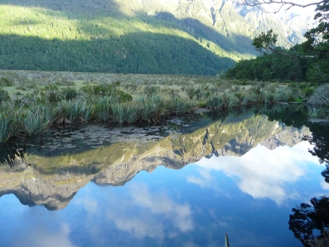 Milford Sound