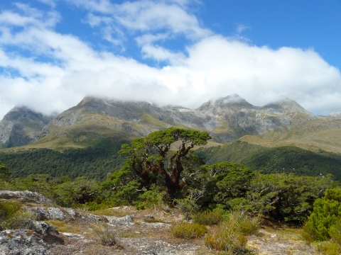 Neuseeland