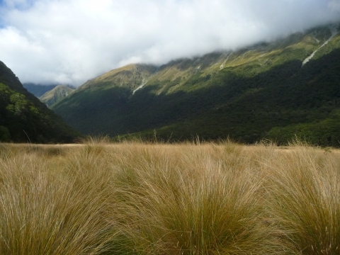 Neuseeland