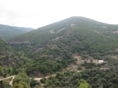 Berge