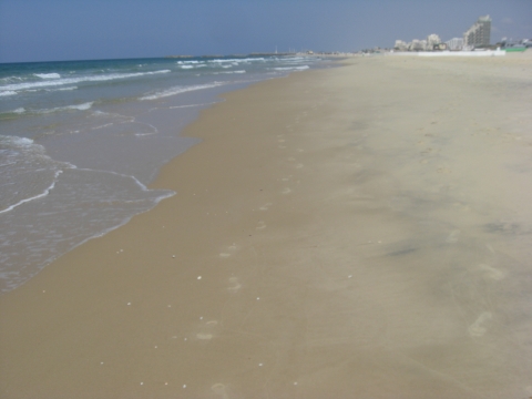 Tel Ashqelon Tel Ashqelon