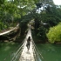 Bambusbrücke Bambusbrücke
