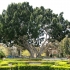 Balboa Park San Diego Balboa Park San Diego