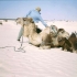 In der Sahara In der Sahara