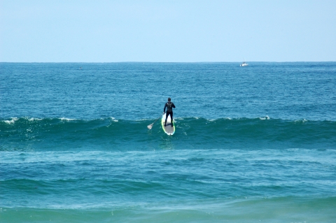 La Jolla - Sufen mit Paddel La Jolla - Sufen mit Paddel