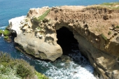 The Cove La Jolla