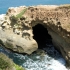 The Cove La Jolla The Cove La Jolla