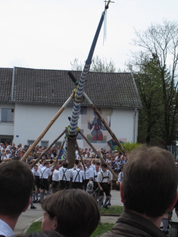 Siegertsbrunn - Maibaum - Aufstellen mit Schwalben Siegertsbrunn 2010 Siegertsbrunn - Maibaum - Aufstellen mit Schwalben Siegertsbrunn 2010