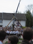 Maibaum - Aufstellen mit Schwalben Siegertsbrunn 2010