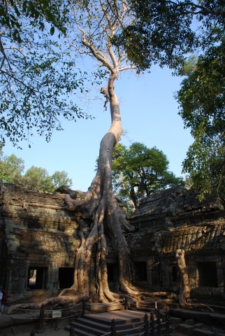 Angkor Wat - bei Angkor Wat 