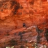 Hidden Canyon Trail Zion NP Hidden Canyon Trail Zion NP