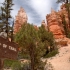 Red Canyon kurz vor Bryce Red Canyon kurz vor Bryce