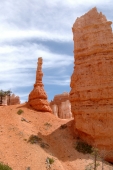 Hoodoo im Bryce Canyon