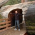 Sequoia NP Sequoia NP